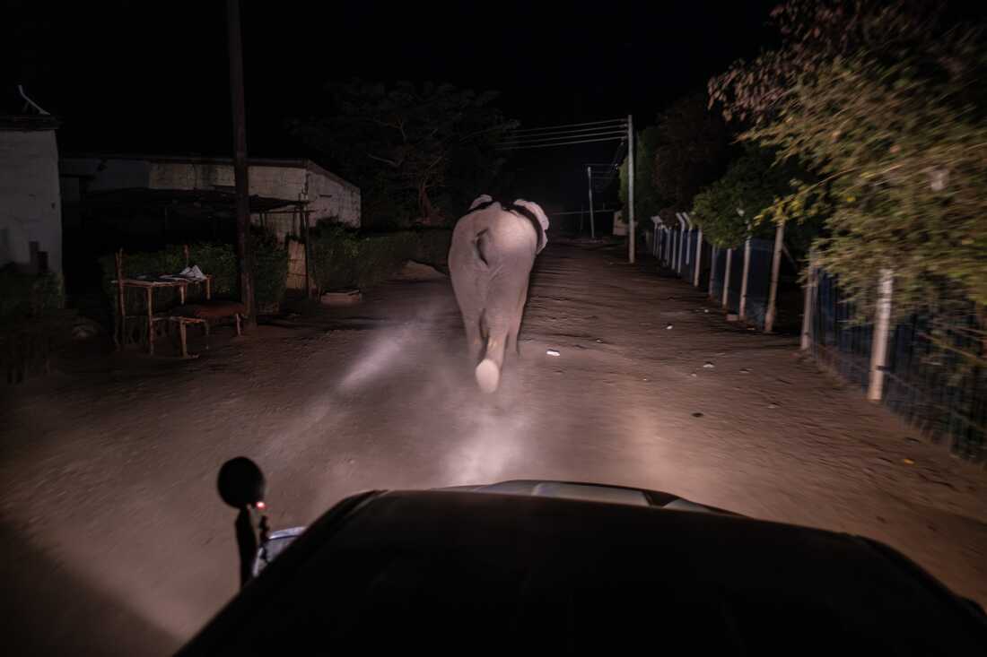 Game Drive in Mosi oa Tunya National Park