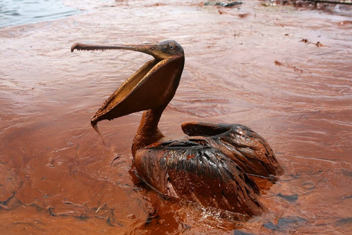 Oil spill cleanup