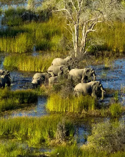 wetlands